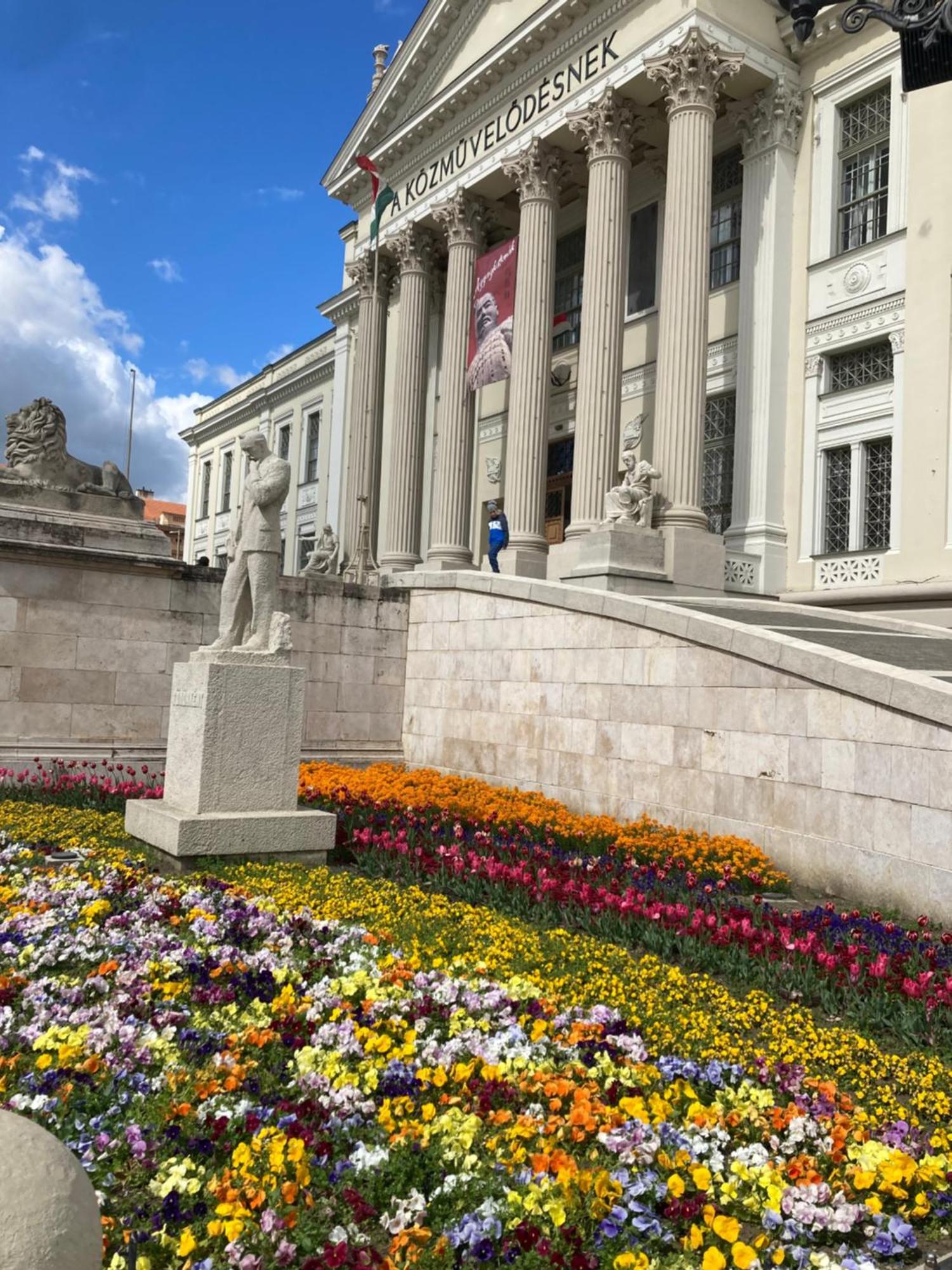 Tavaszpart Vendeghaz Apartment Szeged Ngoại thất bức ảnh