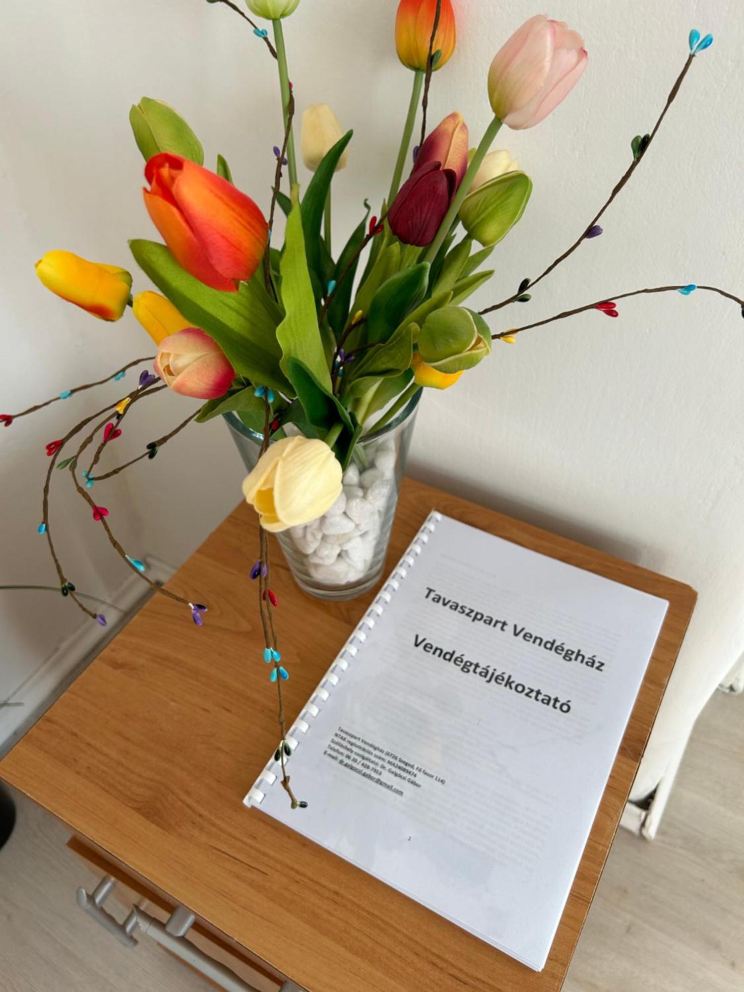 Tavaszpart Vendeghaz Apartment Szeged Ngoại thất bức ảnh