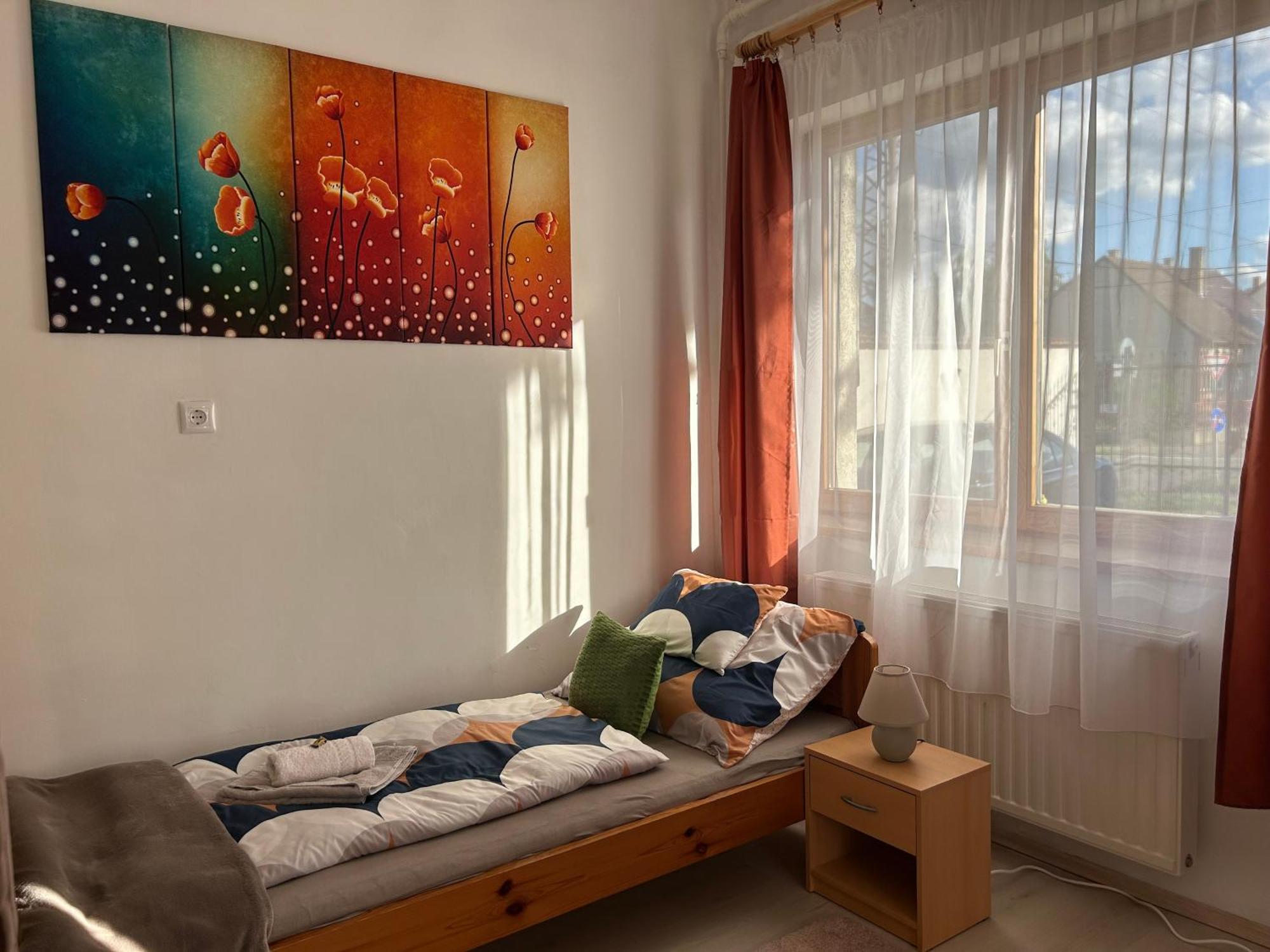 Tavaszpart Vendeghaz Apartment Szeged Ngoại thất bức ảnh