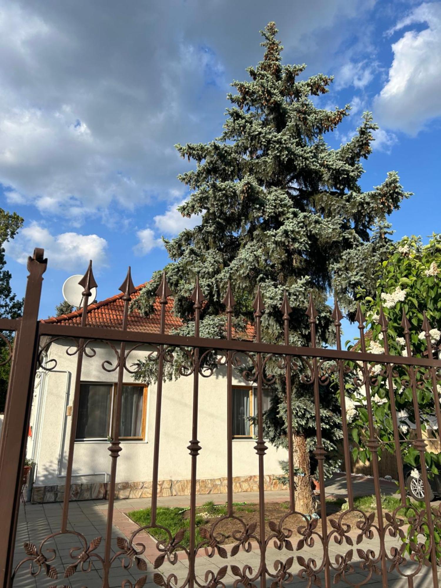 Tavaszpart Vendeghaz Apartment Szeged Ngoại thất bức ảnh