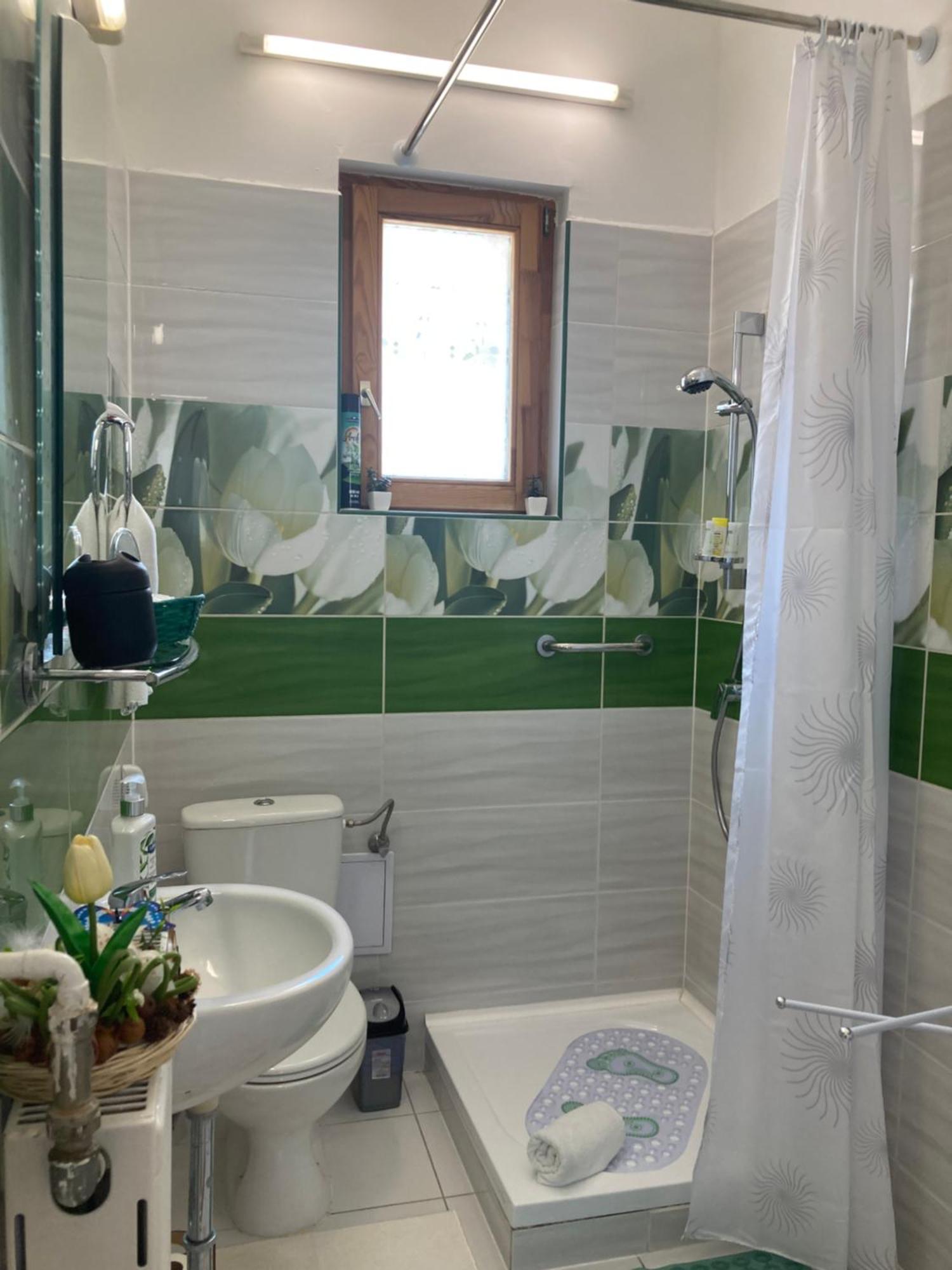 Tavaszpart Vendeghaz Apartment Szeged Ngoại thất bức ảnh