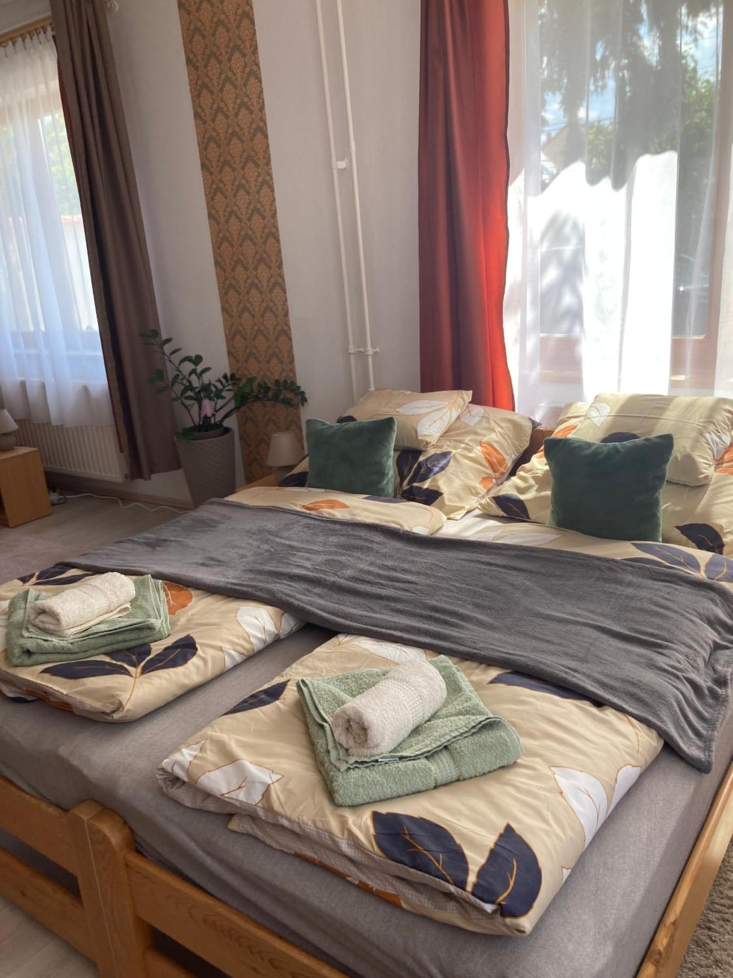 Tavaszpart Vendeghaz Apartment Szeged Ngoại thất bức ảnh