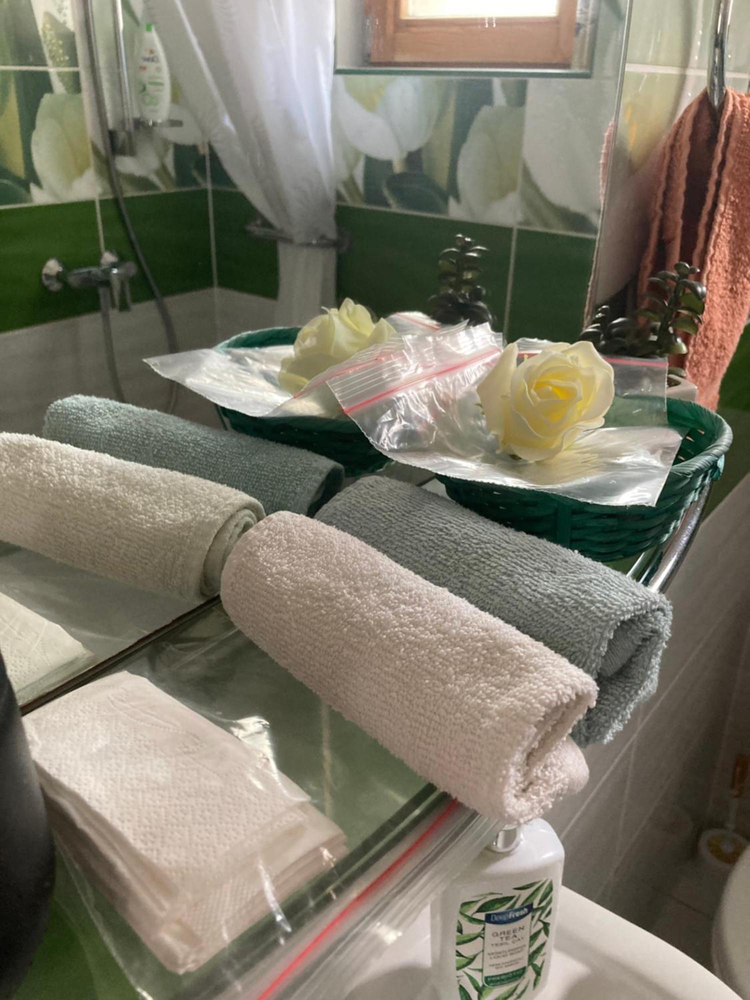 Tavaszpart Vendeghaz Apartment Szeged Ngoại thất bức ảnh